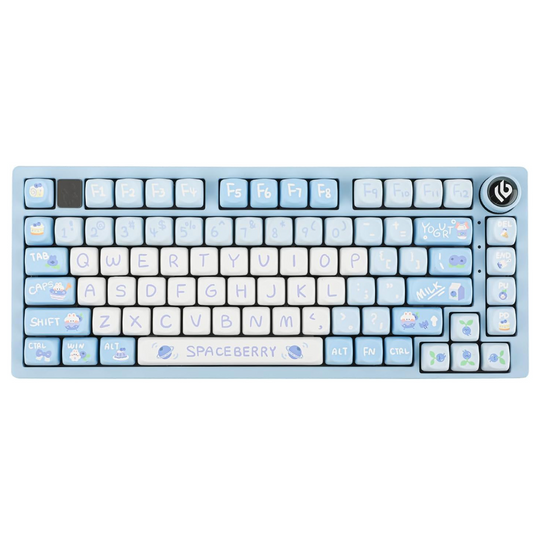 HI75 75% Customized Mechanical Keyboard-Blueberry Party