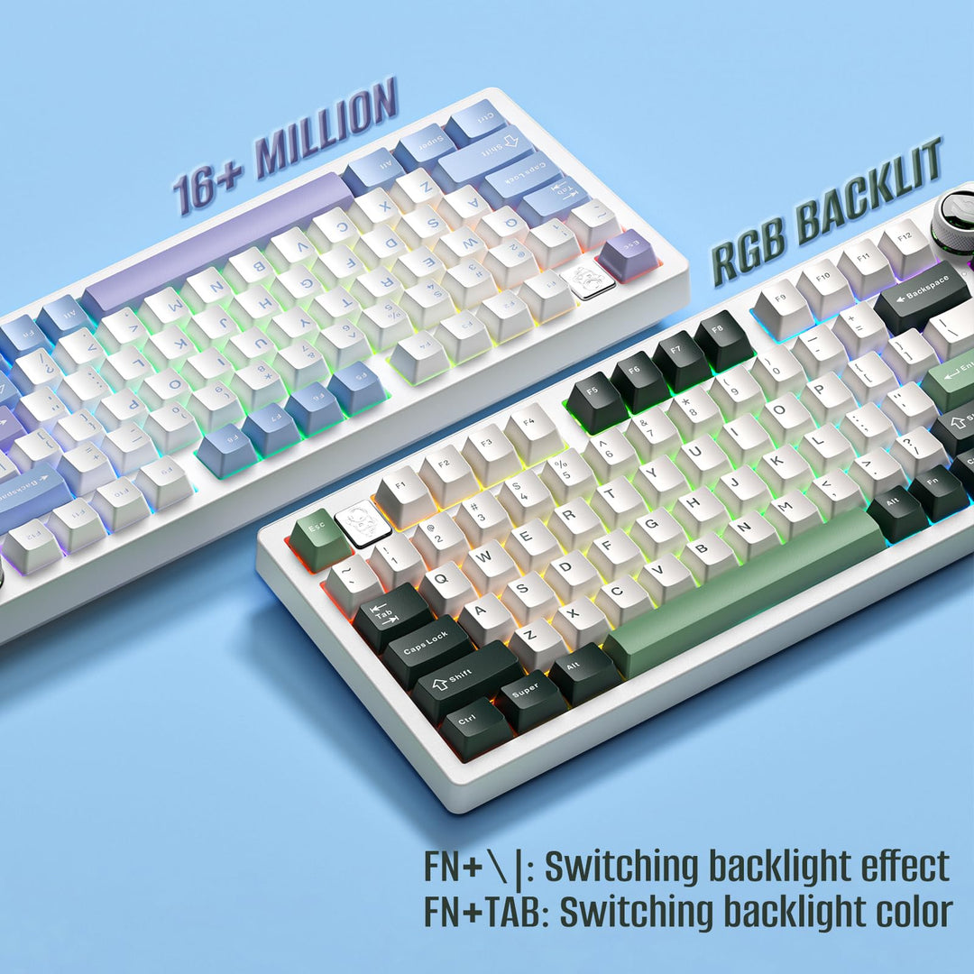 HI75 75% Customized Mechanical Keyboard-Blueberry Party - Aula Inno