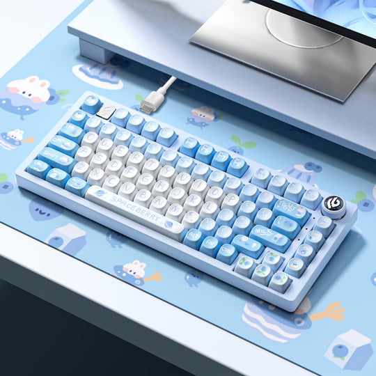 HI75 75% Customized Mechanical Keyboard-Blueberry Party - Aula Inno